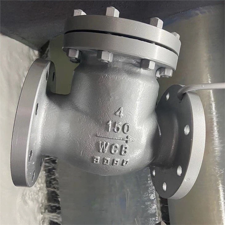 WCB Check Valve