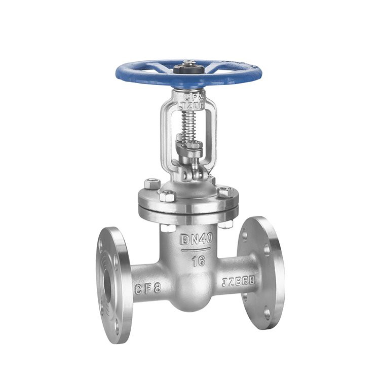 Stainless Steel Flanged Gate Valve