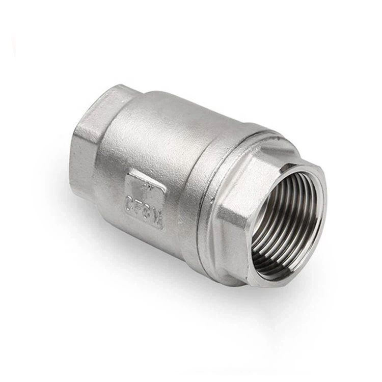 Válvula de Retenção Vertical Ss